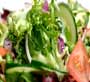 Salads